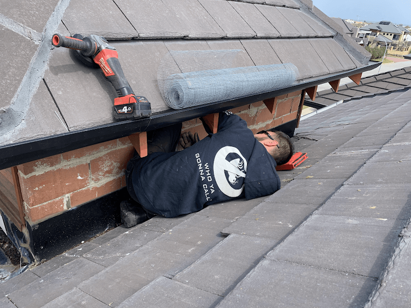 Bug Busters Pest Control pest control work in Osborne Park