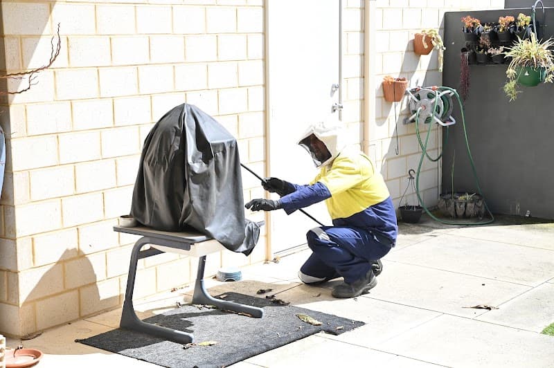 Bug Busters Pest Control pest control work in Osborne Park