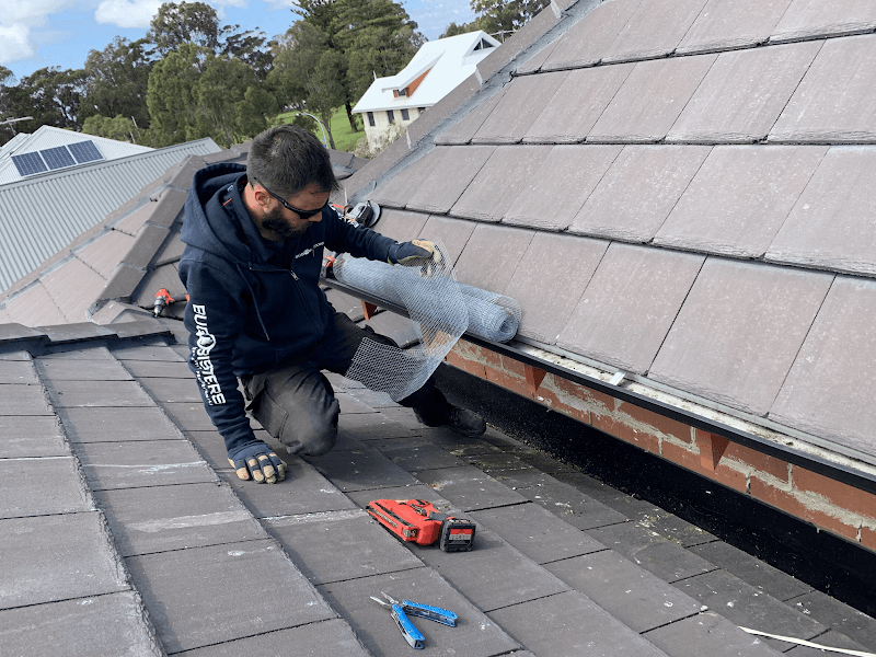 Bug Busters Pest Control pest control work in Osborne Park