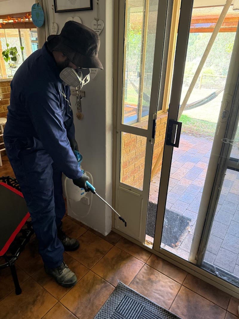 Bug Free Pest Solutions Perth pest control work in null