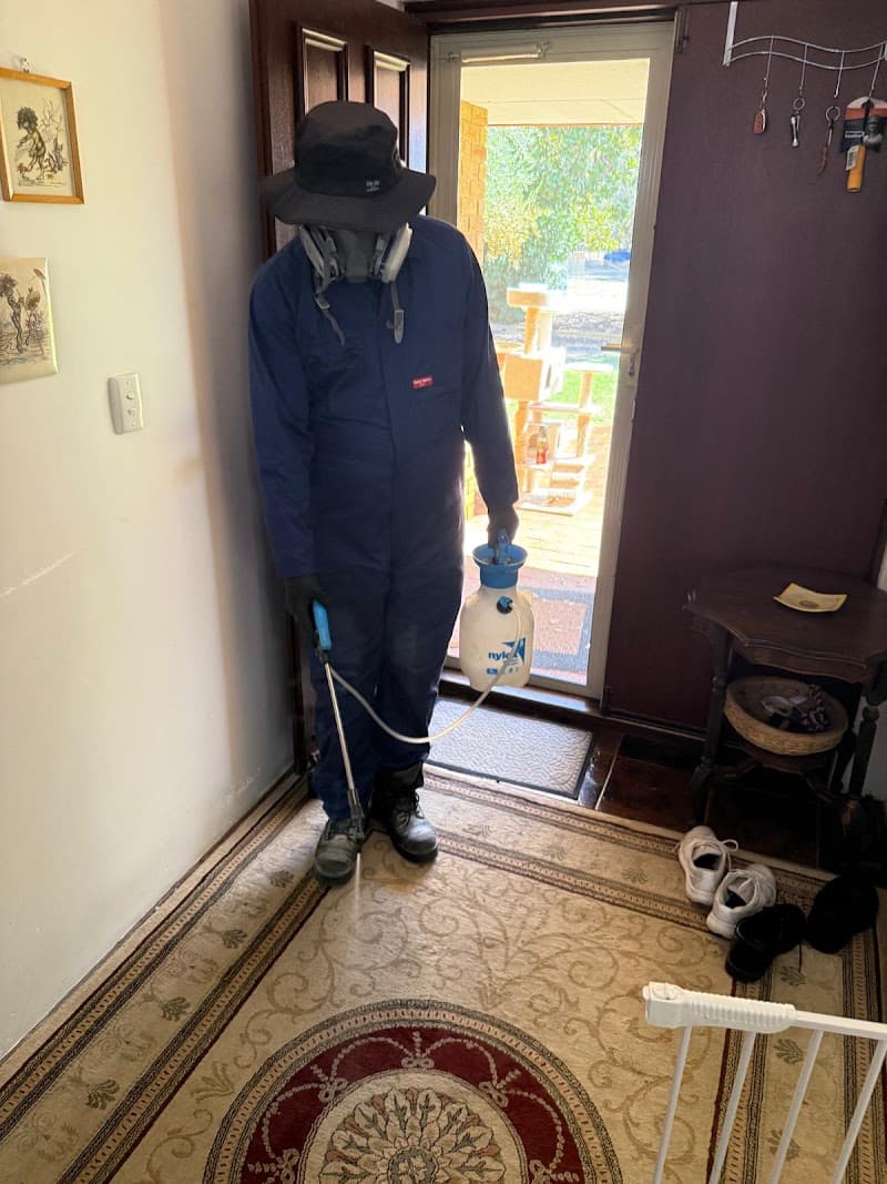 Bug Free Pest Solutions Perth pest control work in null