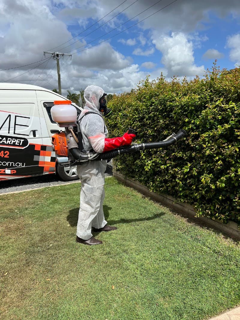Bug Me Termite, Pest & Carpet Cleaning carpet cleaning work in Kepnock