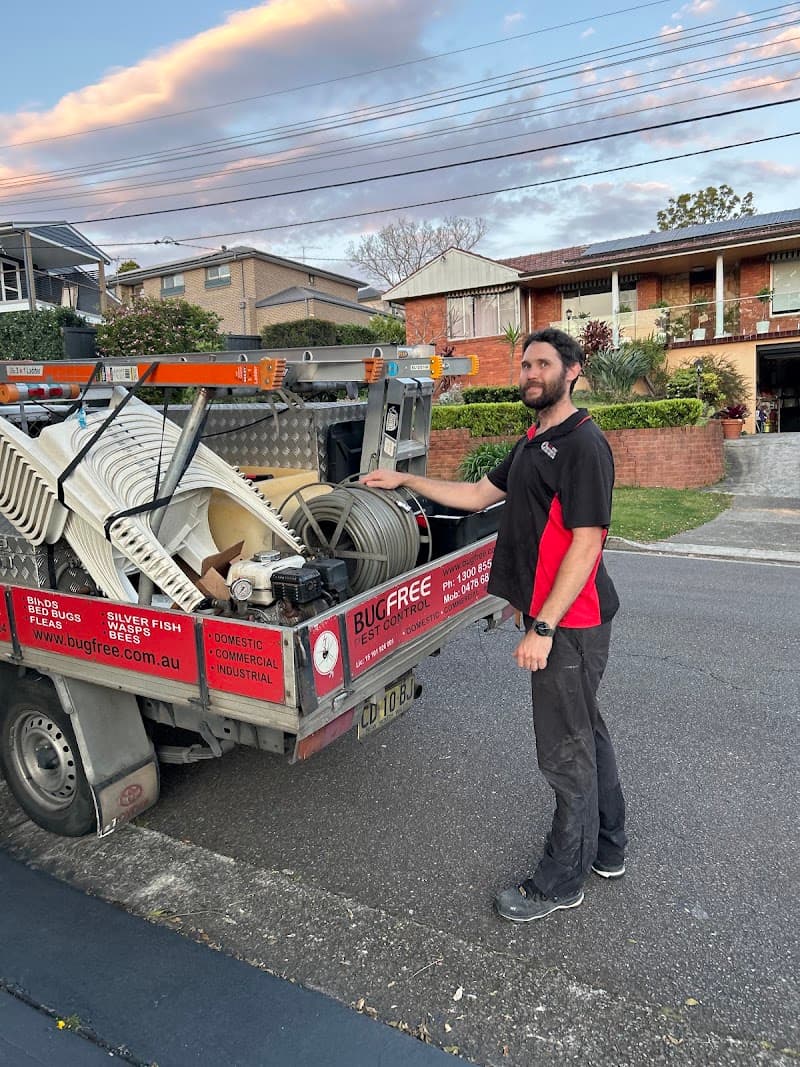 BugFree Pest Control pest control work in Auburn