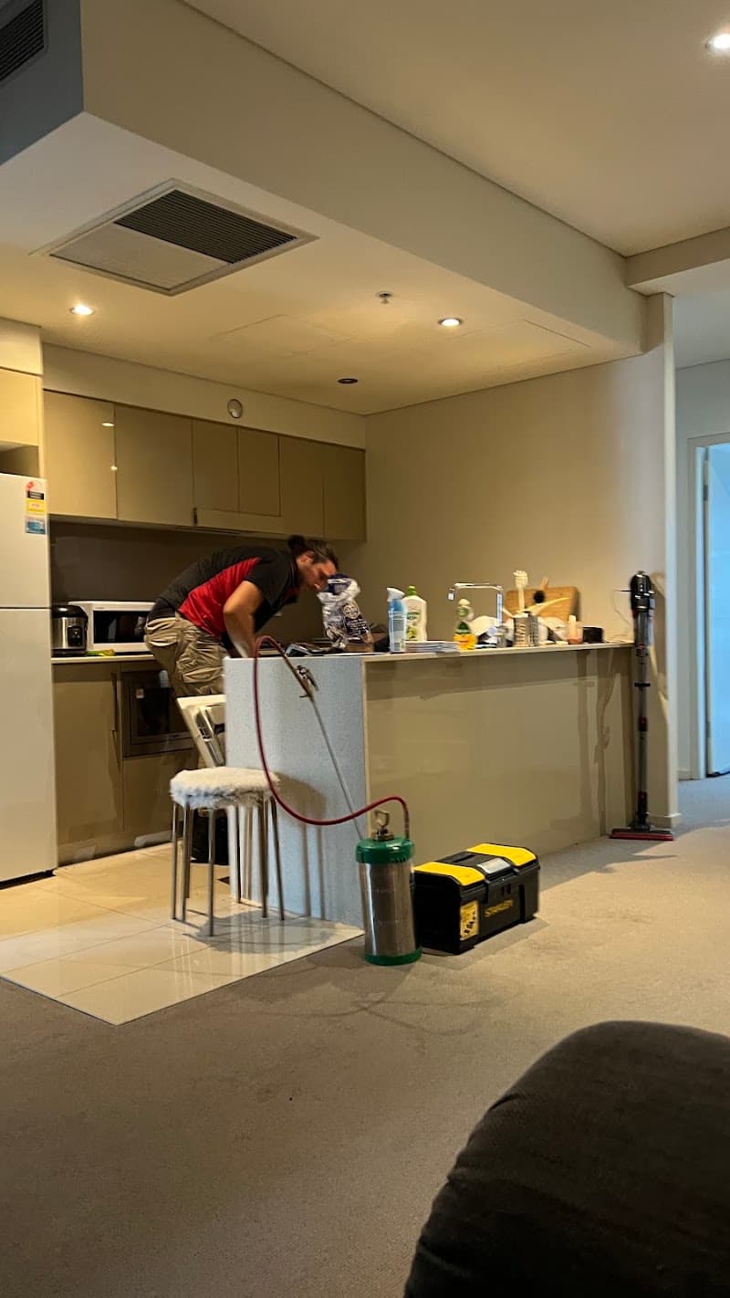 BugFree Pest Control pest control work in Auburn