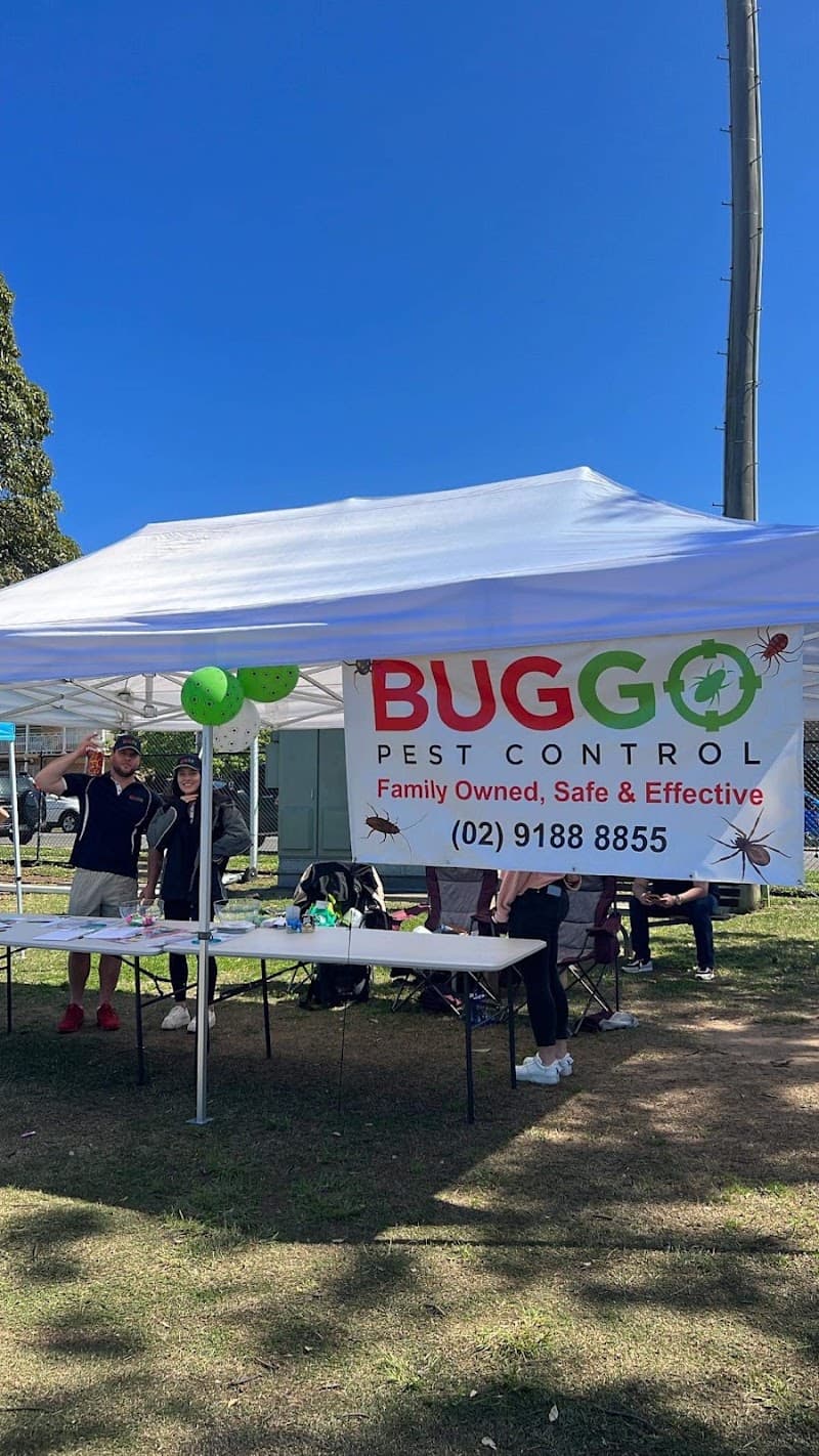 Buggo Pest Control pest control work in Miranda