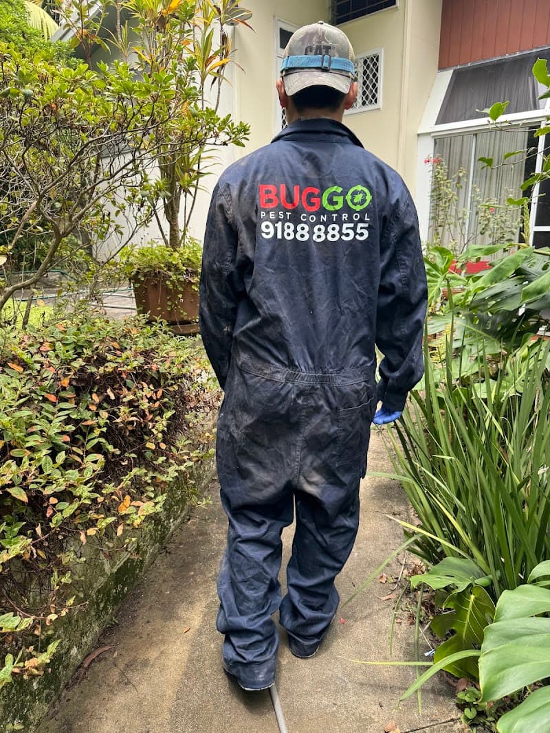 Buggo Pest Control pest control work in Miranda