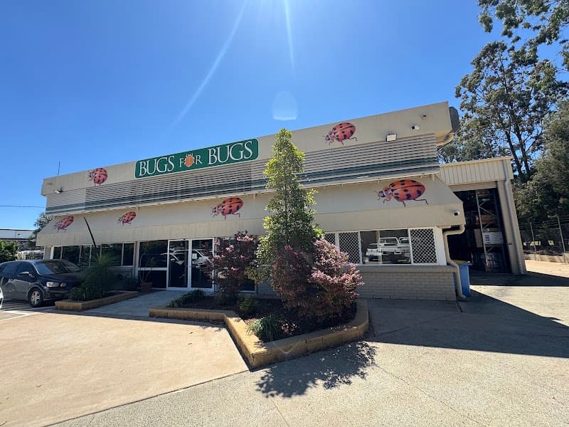 Bugs for Bugs pest control work in Glenvale