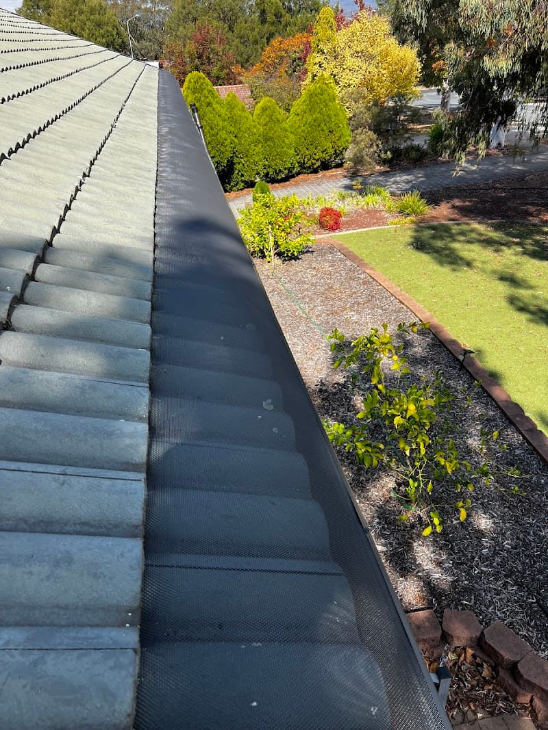 BugsPatrol Pest Management pest control work in Throsby