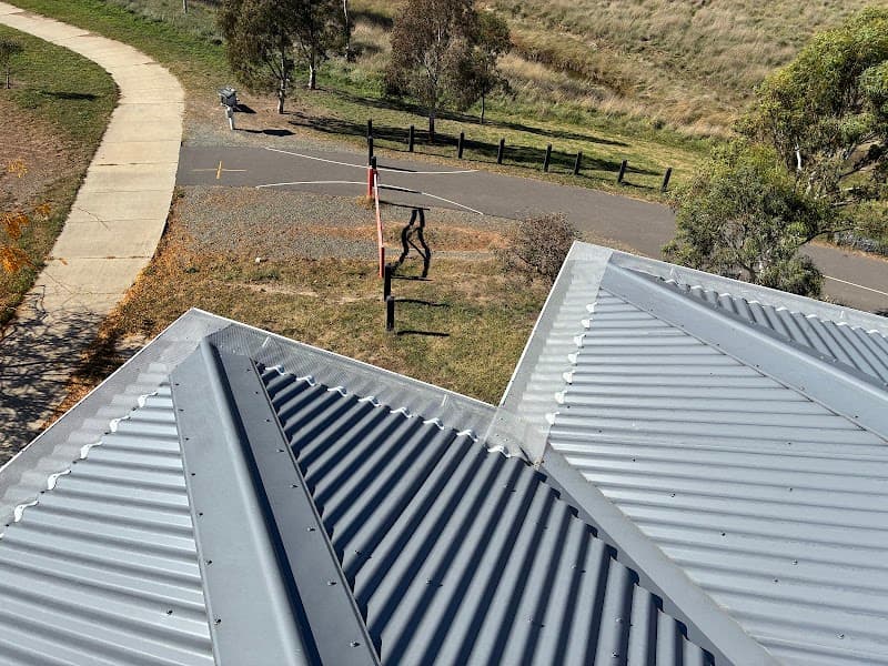 BugsPatrol Pest Management pest control work in Throsby