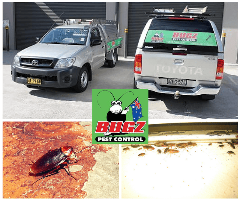 Bugz Pest Control pest control work in Sylvania Waters