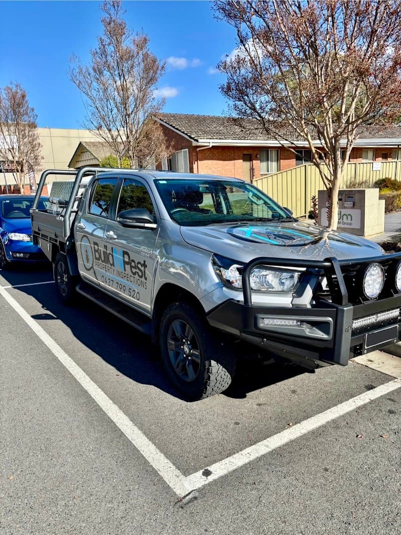 Build n Pest Property Inspections pest control work in Wodonga