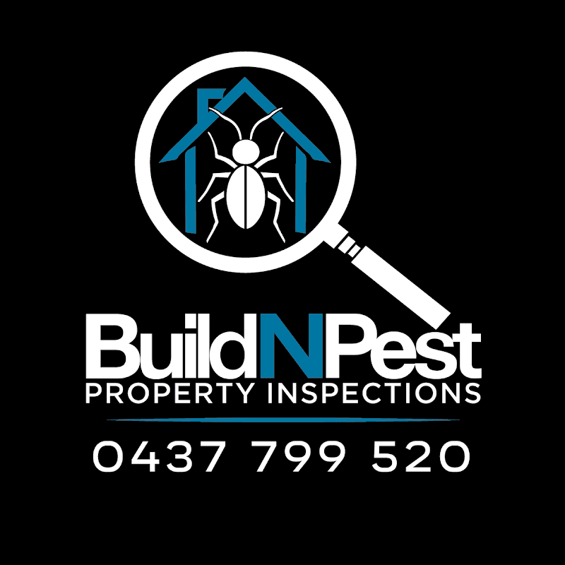 Build n Pest Property Inspections pest control work in Wodonga