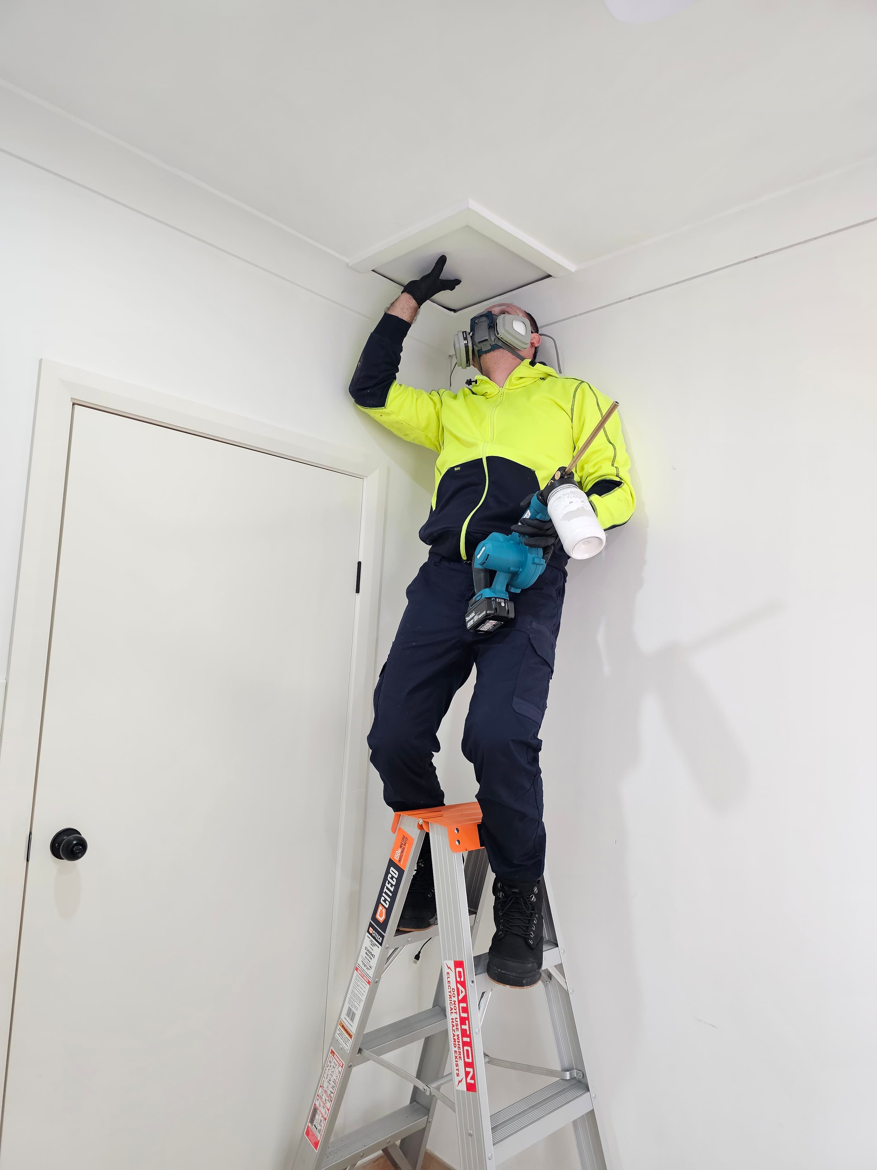 Pinpoint Pest Control pest control work in Merrylands