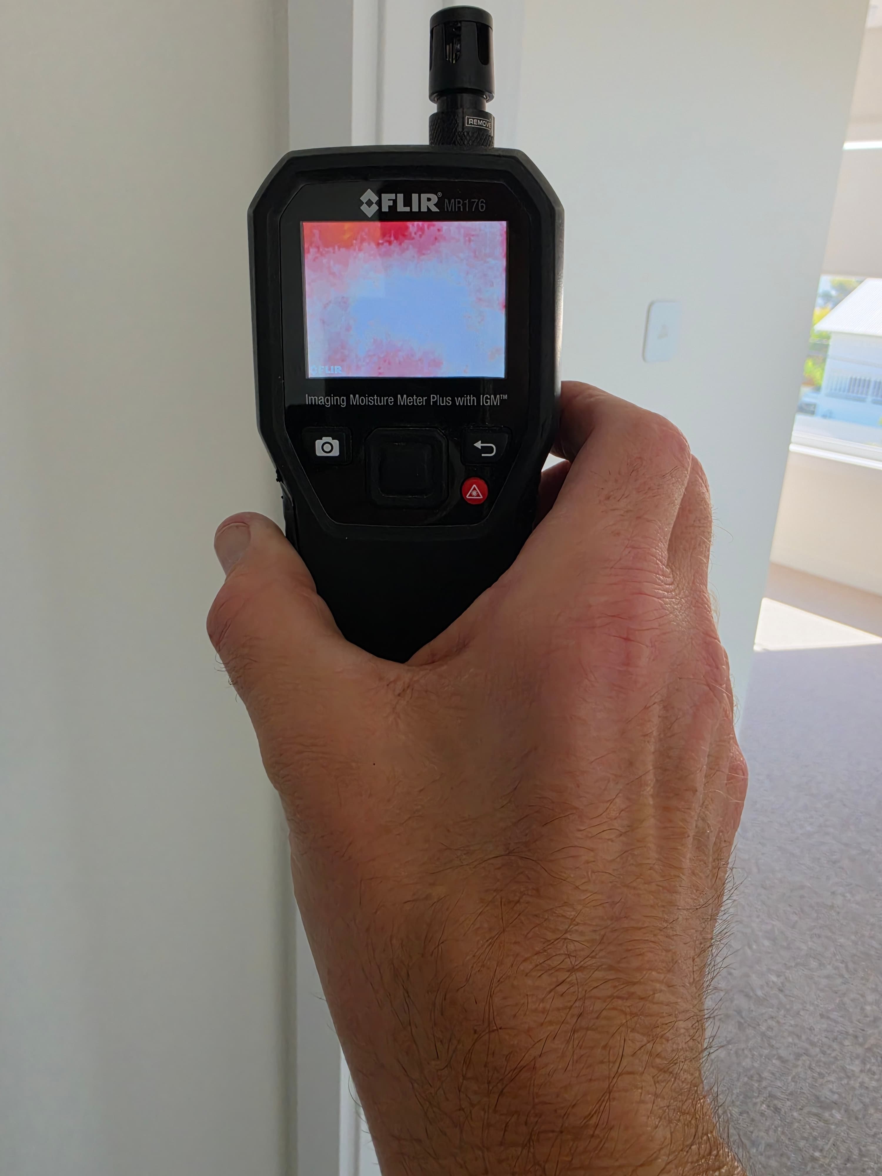 Apex Professional Pest Management pest control work in Cromer