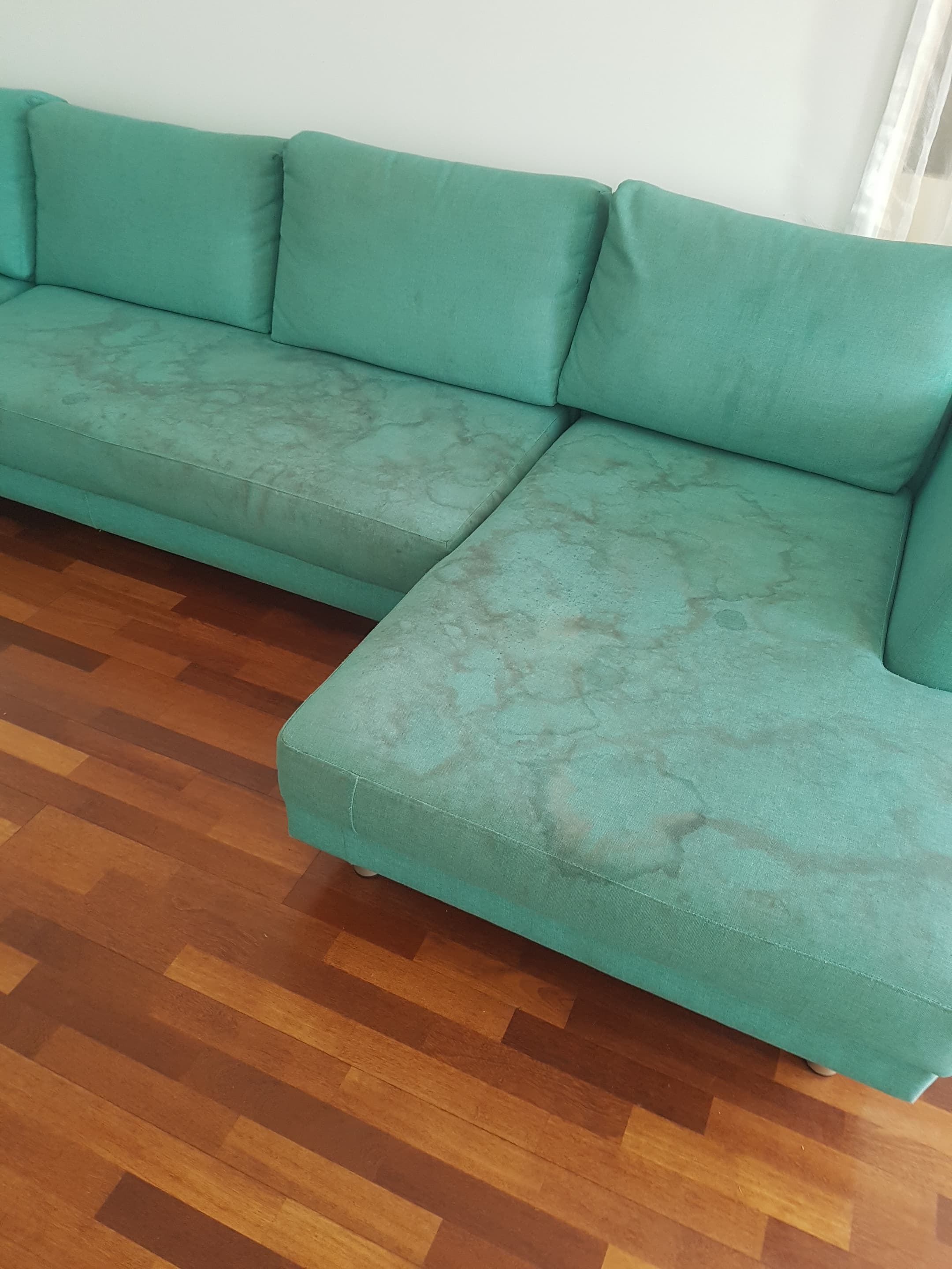 Kleenas carpet cleaning work in Sydney