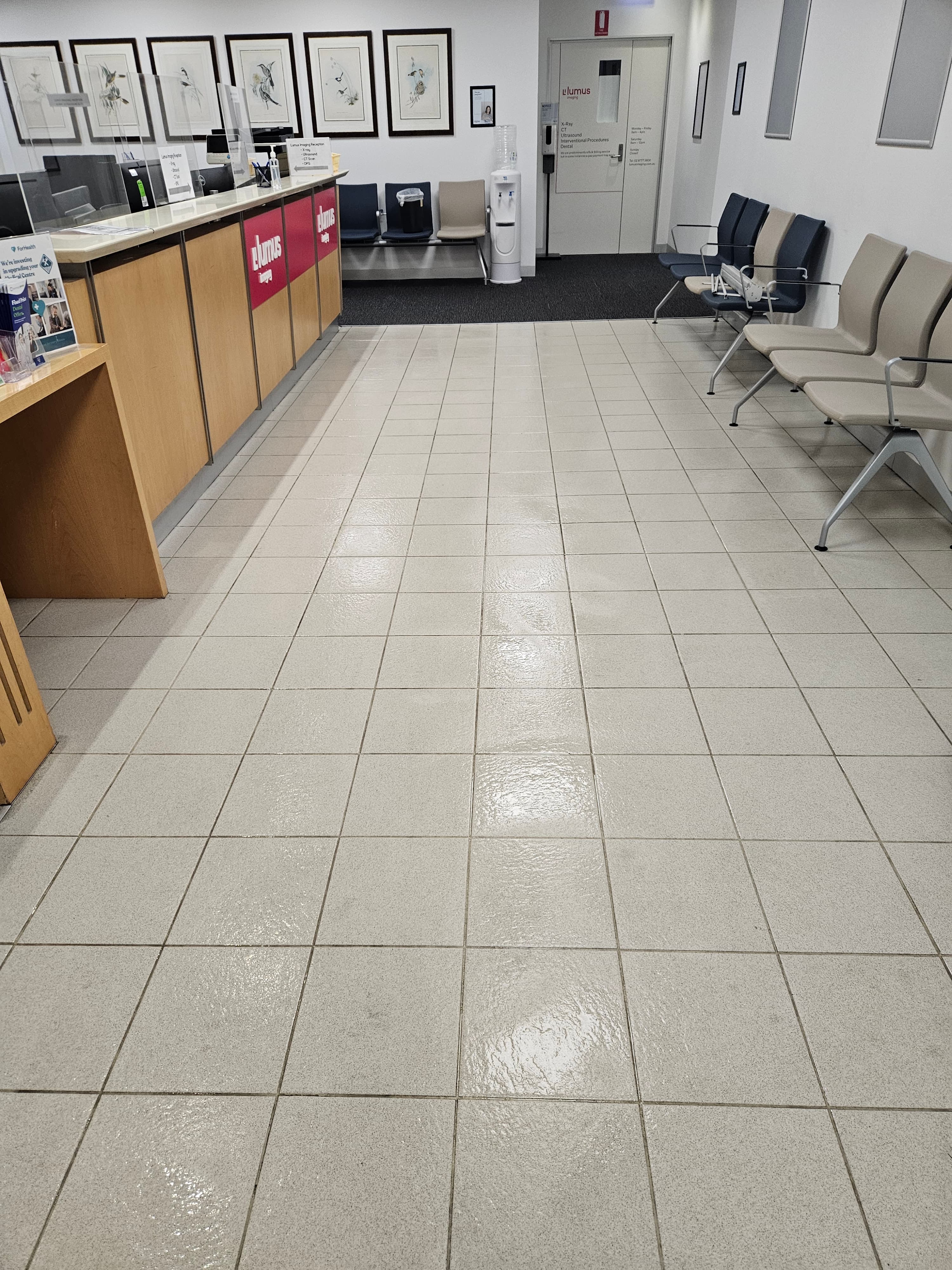 Kleenas carpet cleaning work in Sydney