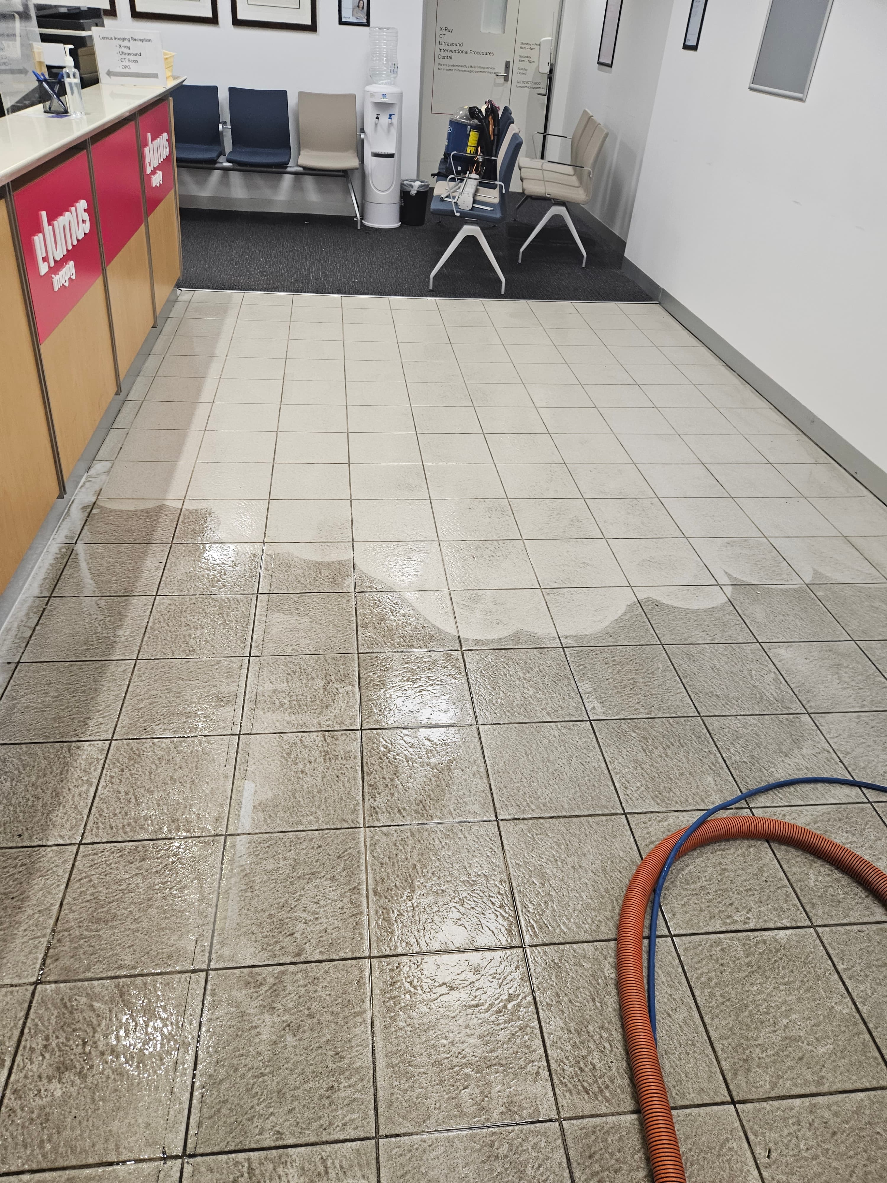 Kleenas carpet cleaning work in Sydney