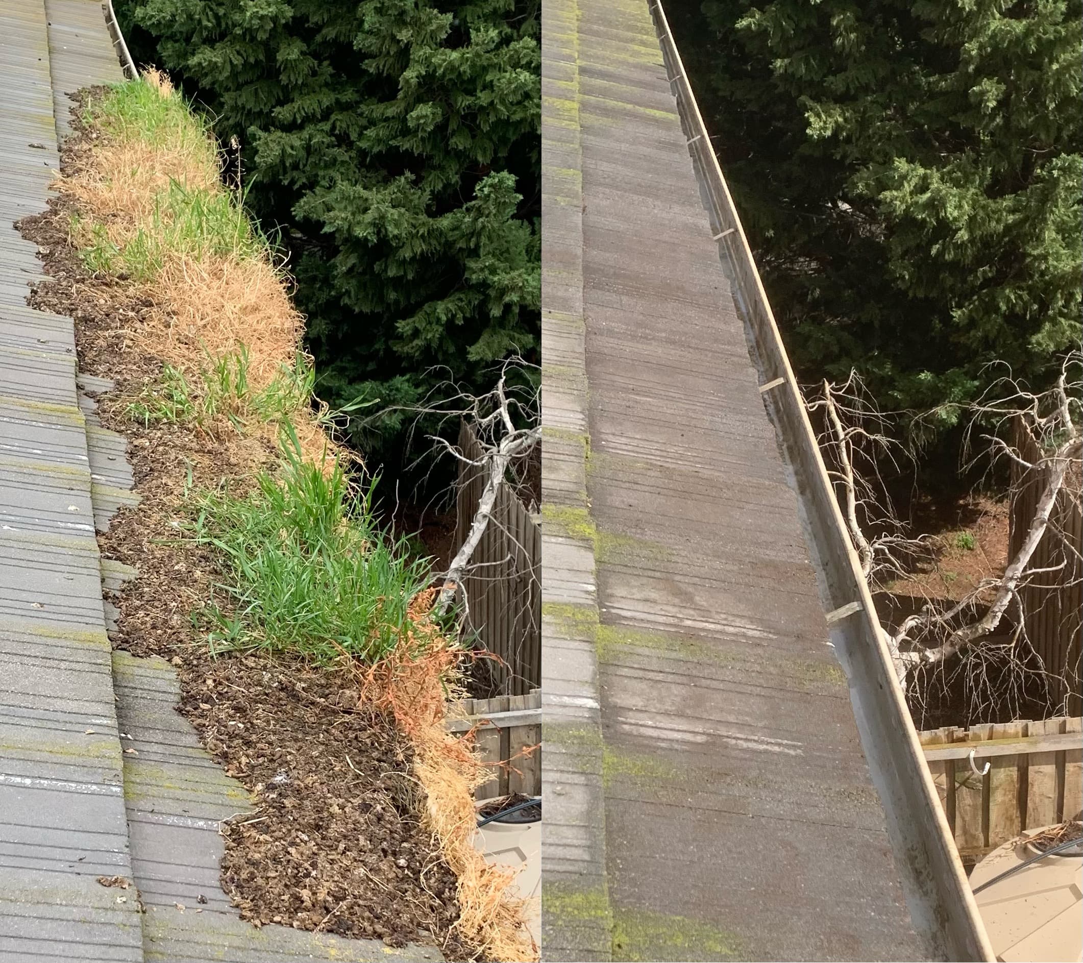 Mavericks Window and Gutter Cleaning gutter cleaning work in Burnside Heights