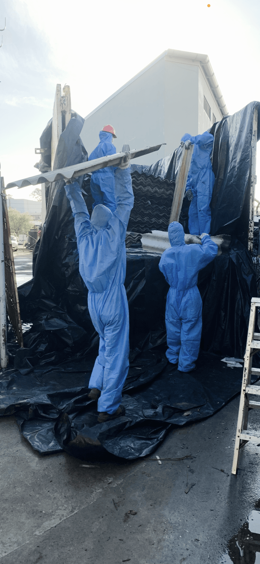 Seagull sunshine asbestos removal work in South Granville