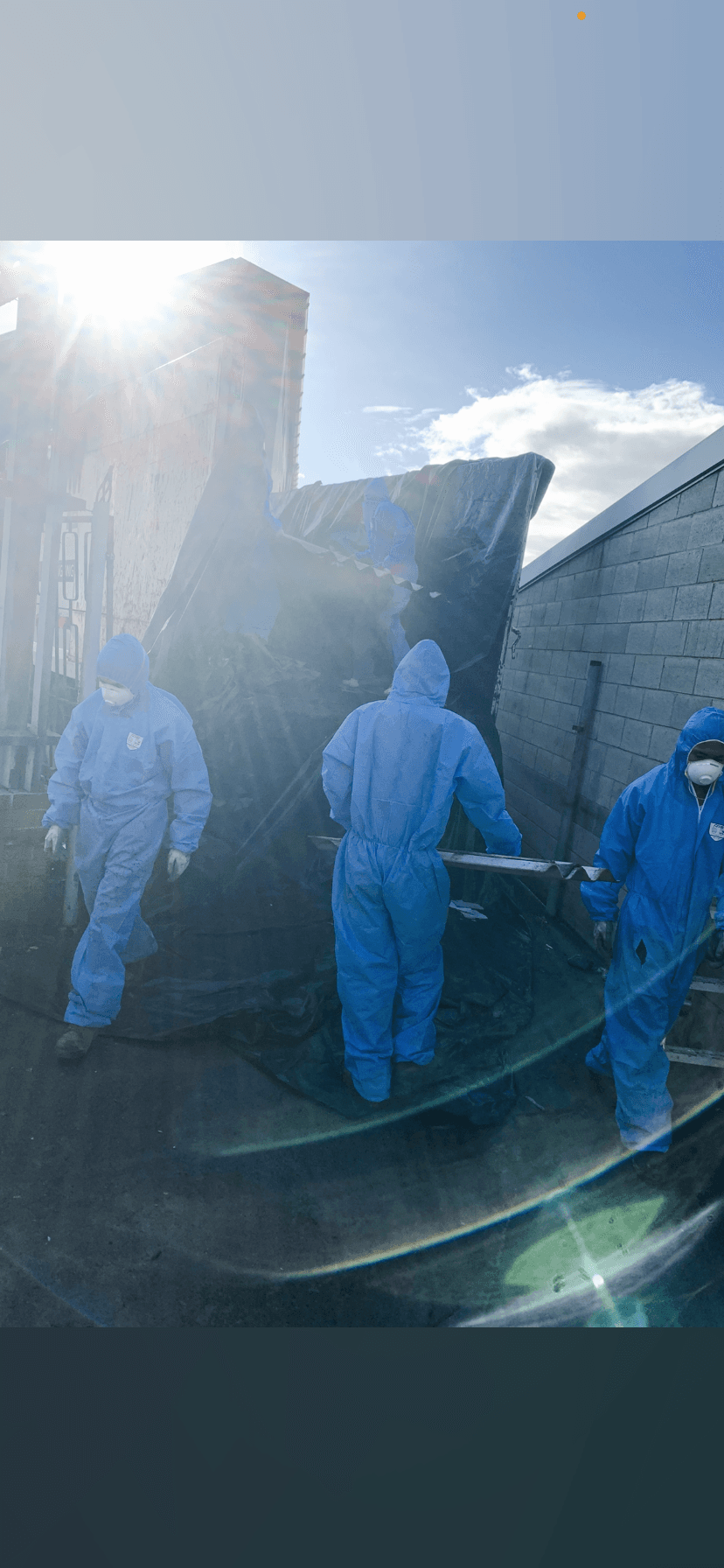 Seagull sunshine asbestos removal work in South Granville