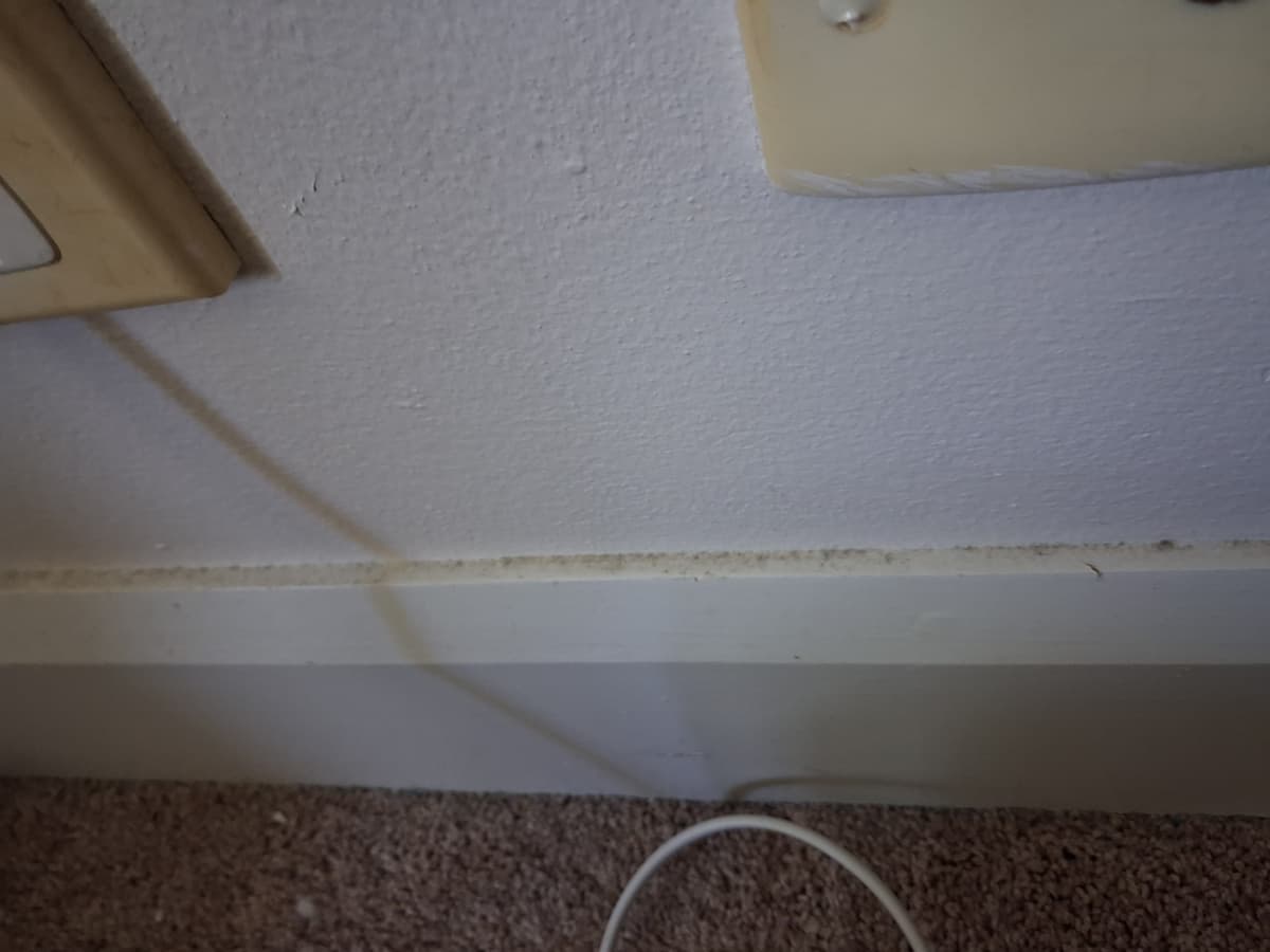 Superior Facility Services carpet cleaning work in Miranda