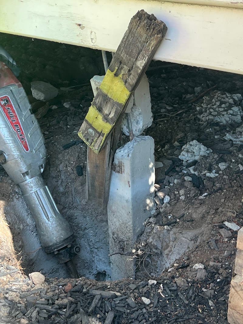 Building and Pest Inspections Bendigo House Inspections Victoria pest control work in Bendigo