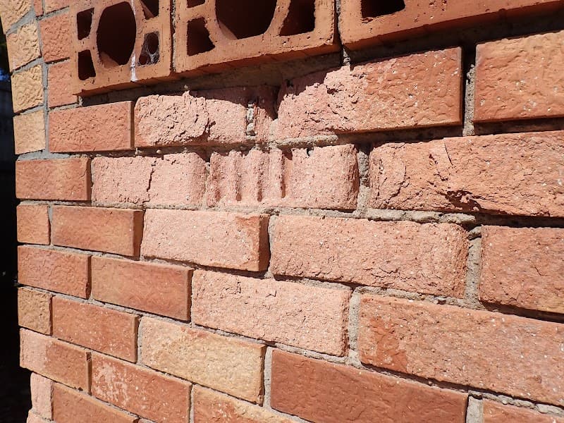 Building and Pest Inspectors Adelaide pest control work in Adelaide
