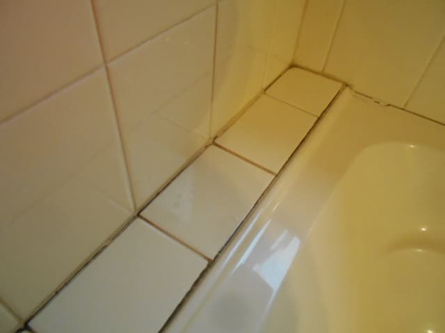 Building and Pest Inspectors Adelaide pest control work in Adelaide