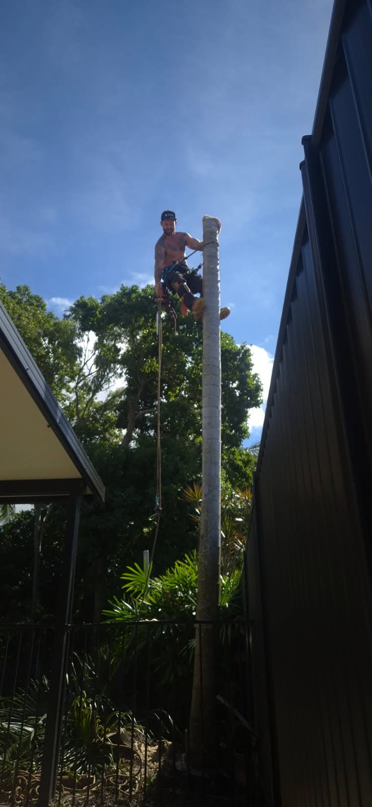 Bull's Tree Service tree services work in Whitfield