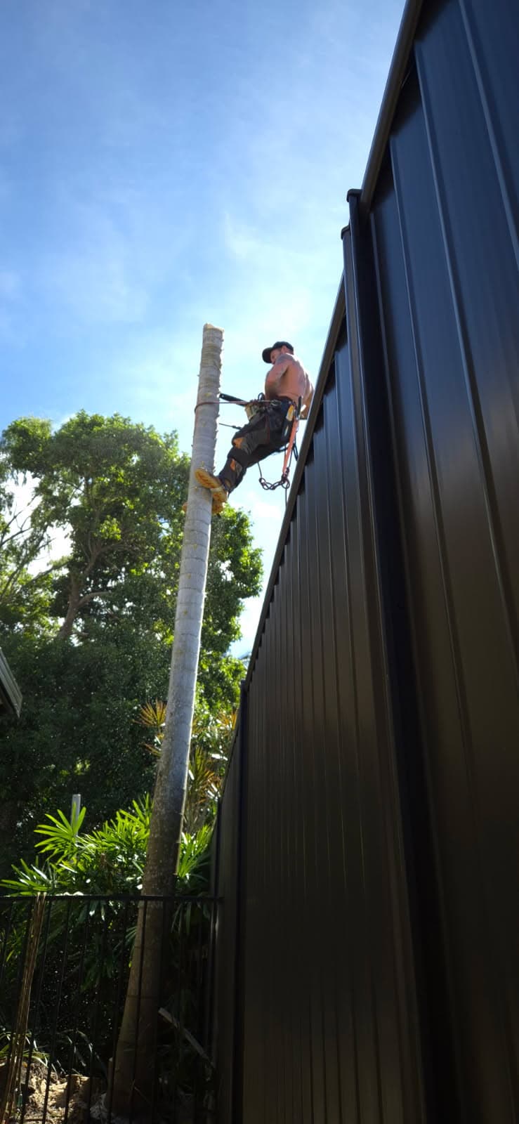 Bull's Tree Service tree services work in Whitfield