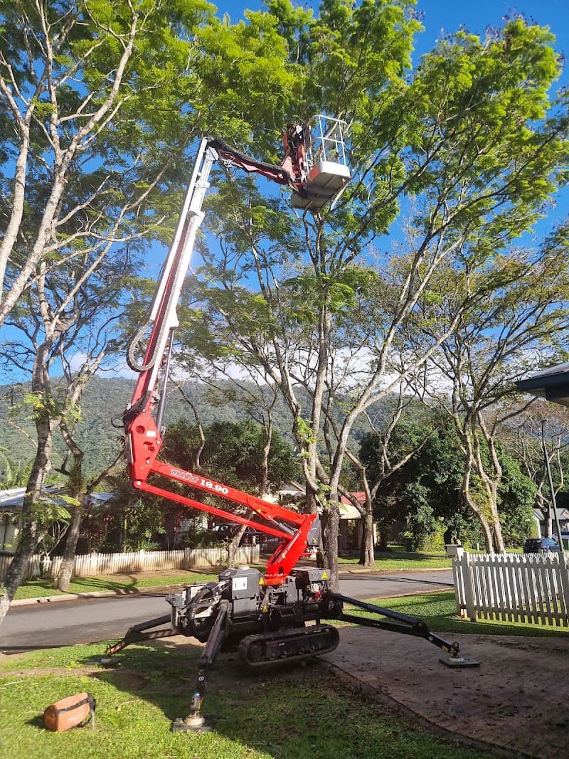 Bumble Bee Tree Services tree services work in Earlville