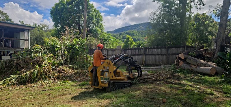 Bumble Bee Tree Services tree services work in Earlville