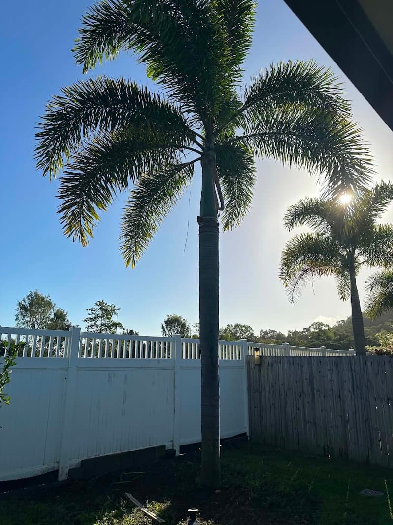 Bumble Bee Tree Services tree services work in Earlville