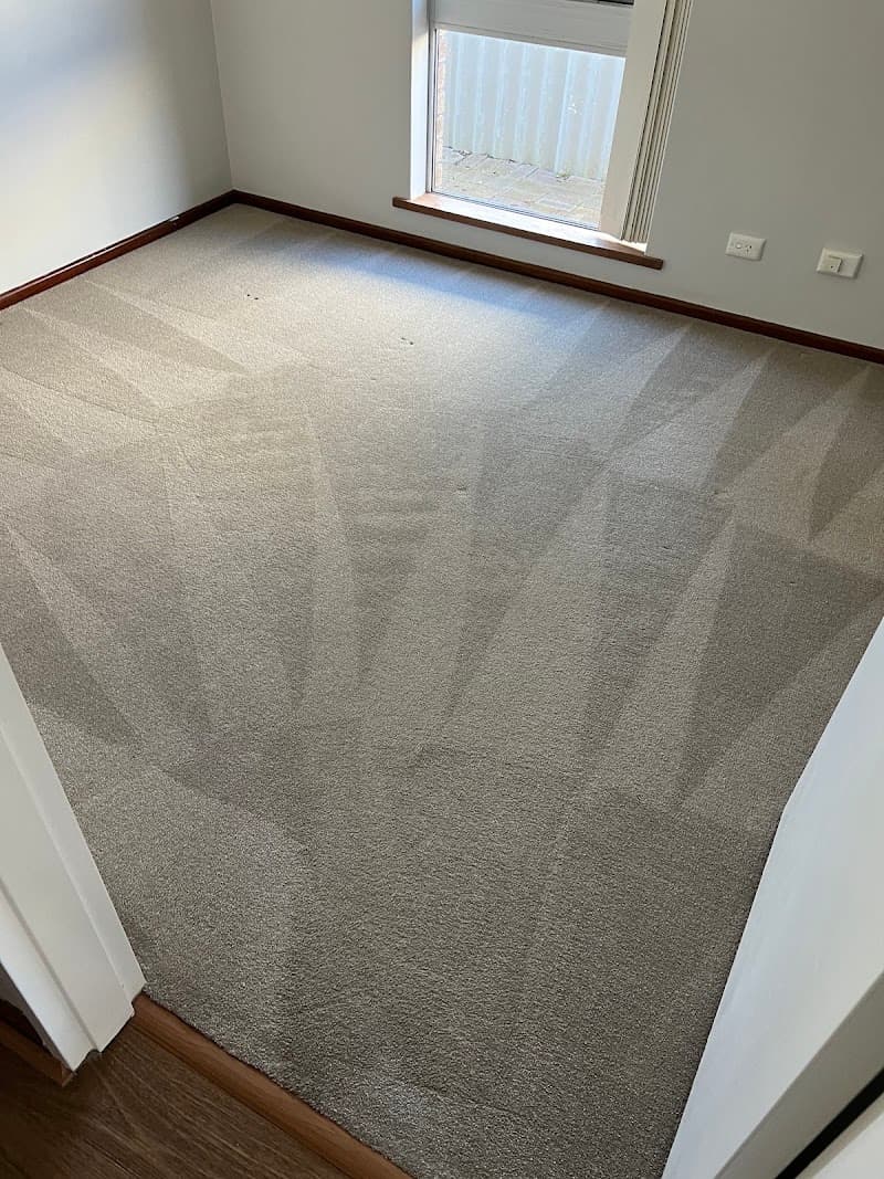 Bunbury Carpet Cleaning carpet cleaning work in Millbridge