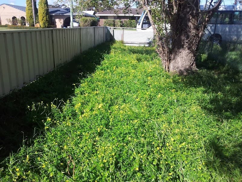Bunbury Pest & Weed Solutions pest control work in Eaton