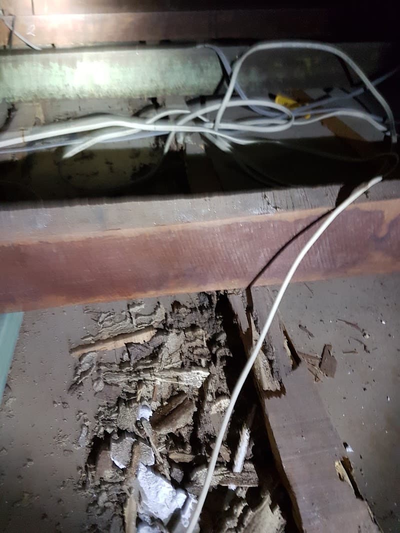 Bundaberg Bug Busters Termite and pest control pest control work in Bargara