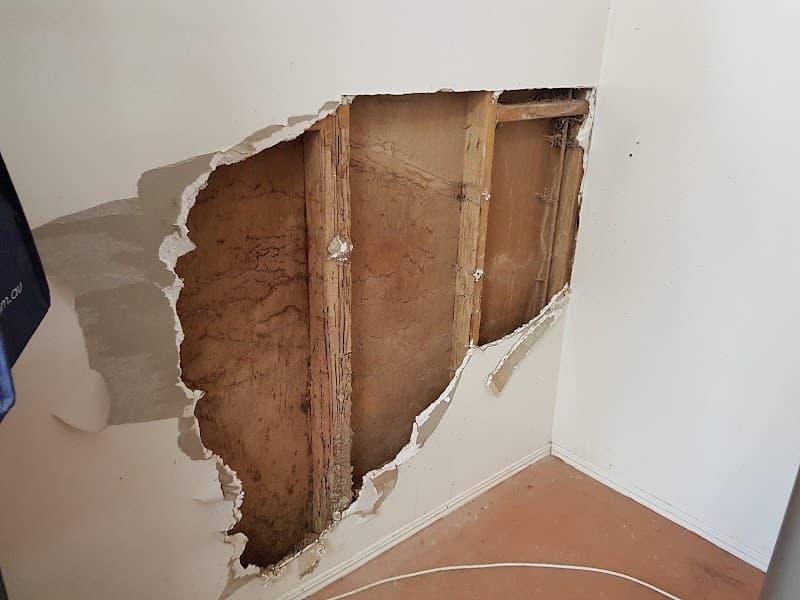 Bundaberg Bug Busters Termite and pest control pest control work in Bargara