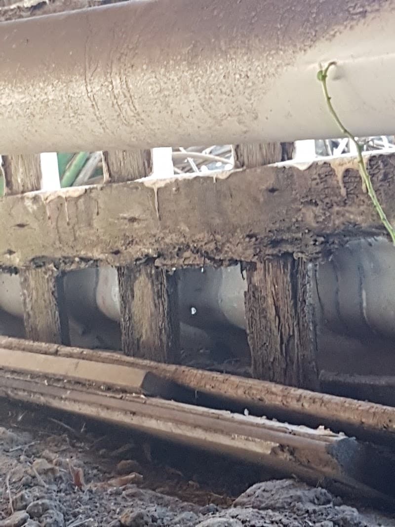 Bundaberg Bug Busters Termite and pest control pest control work in Bargara
