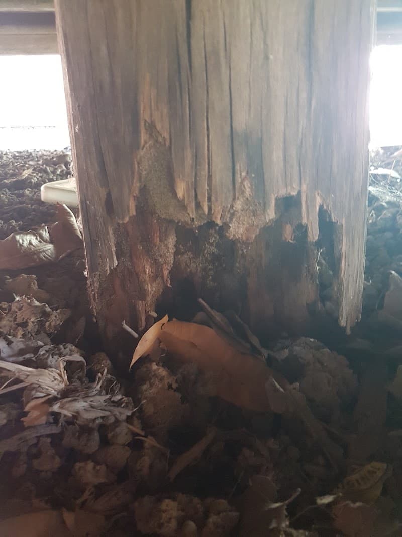 Bundaberg Bug Busters Termite and pest control pest control work in Bargara