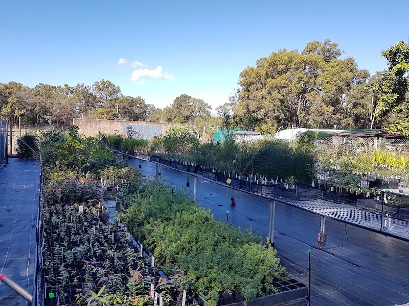 Bundaberg Landcare landscaping work in Svensson Heights