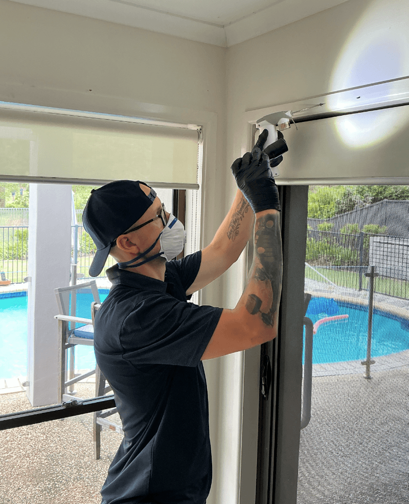 Bundilla Pest Control pest control work in Maroochydore
