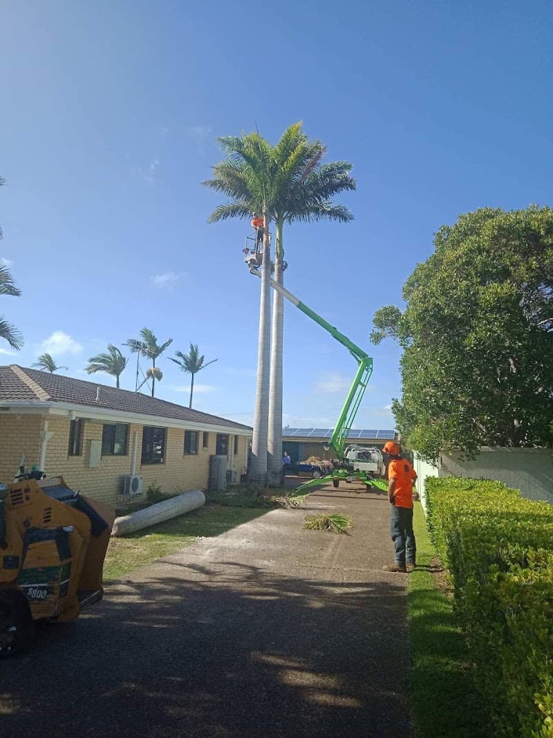 Bundy & Bargara Tree Service tree services work in Gooburrum