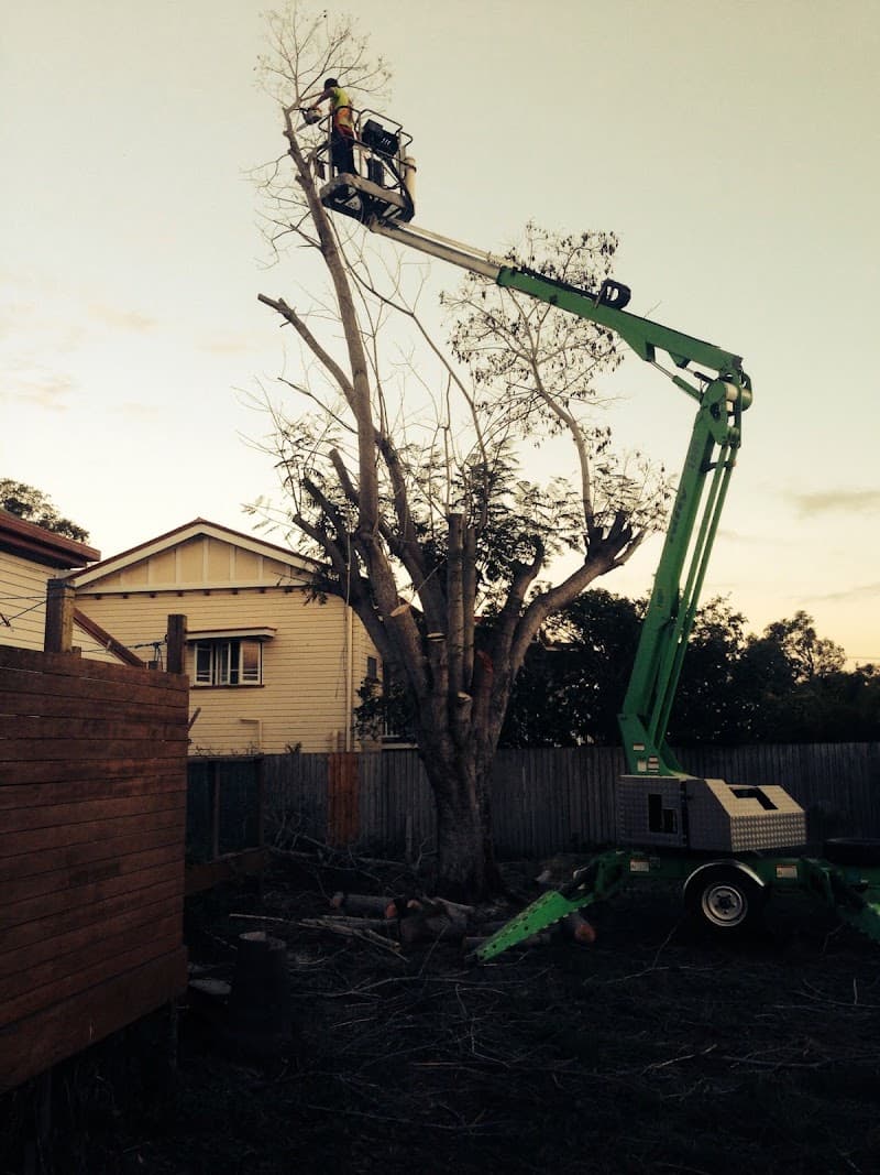 Bundy & Bargara Tree Service tree services work in Gooburrum