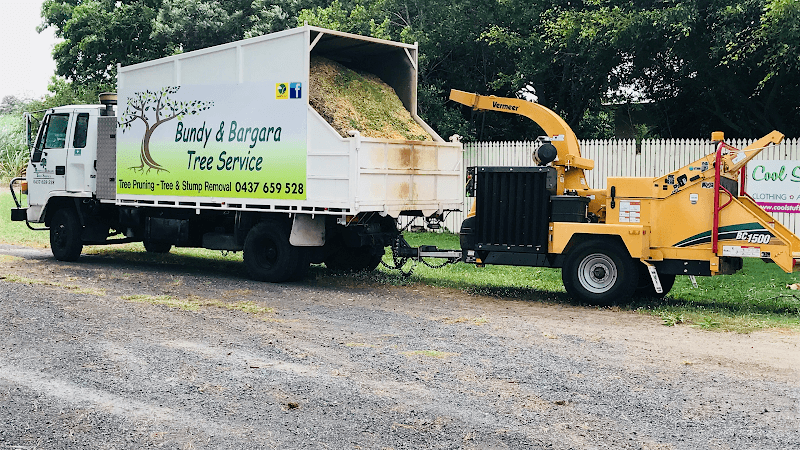 Bundy & Bargara Tree Service tree services work in Gooburrum