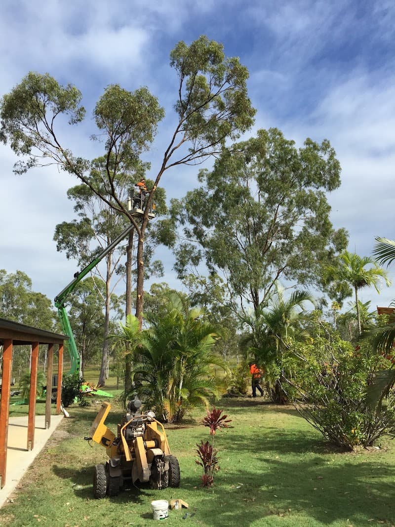 Bundy & Bargara Tree Service tree services work in Gooburrum