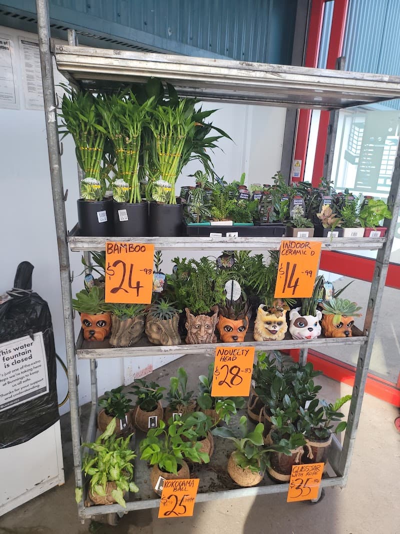 Bunnings Hervey Bay curtains & blinds work in Urraween