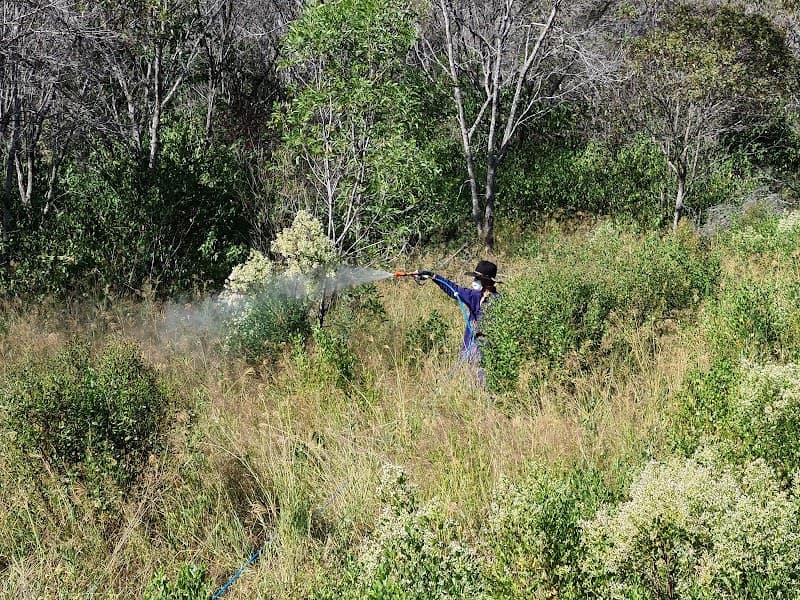 Bush to Bay Weed Control pest control work in Torbanlea
