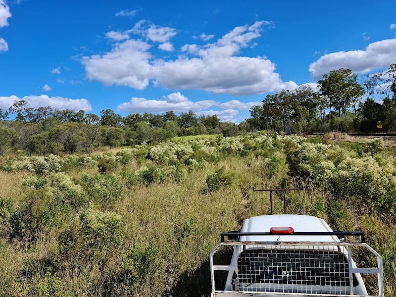 Bush to Bay Weed Control pest control work in Torbanlea