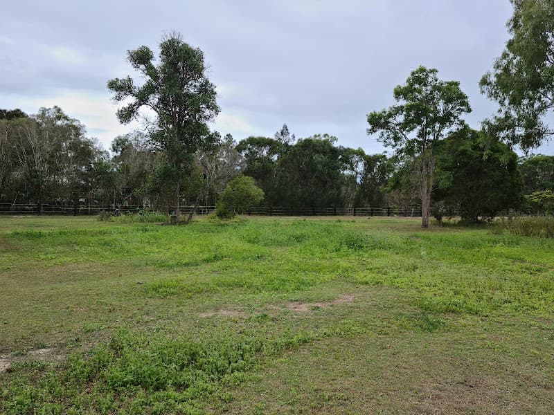 Bush to Bay Weed Control pest control work in Torbanlea