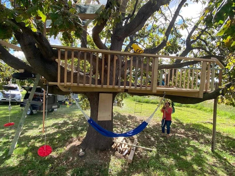 Bushmans Backyard Blitz landscaping work in Albury